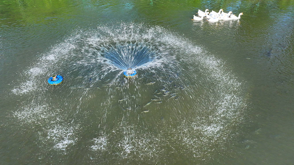 農(nóng)婦荒塘內(nèi)開挖養(yǎng)魚被控罪，免于刑事處罰也很冤:宏鑫機械設(shè)備有限公司
