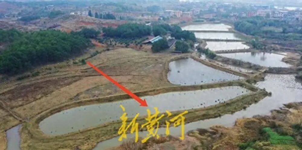 65歲農(nóng)婦荒塘養(yǎng)魚被判“非法占用農(nóng)地”：羈押10月后免刑，仍喊“我沒罪”:宏鑫機械設(shè)備有限公司
