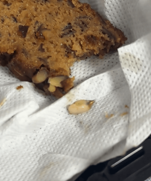 山姆棗泥核桃蛋糕吃出“一顆牙”？客服回應(yīng)：很驚訝<strong></p>
<p>宏鑫機(jī)械設(shè)備有限公司
</strong>，已反饋工廠排查:宏鑫機(jī)械設(shè)備有限公司
