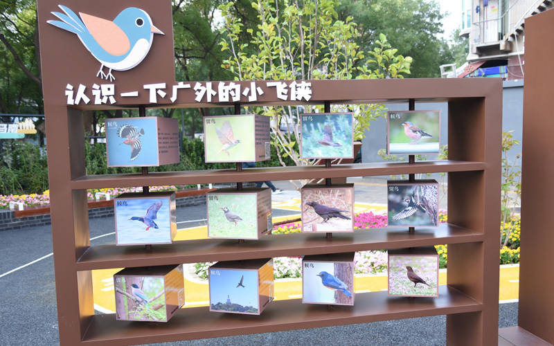 西城區(qū)廣外街道：“斷頭路”變身口袋公園<strong></p>
<p>宏鑫機(jī)械設(shè)備有限公司
</strong>，裝滿民生“微幸?！?宏鑫機(jī)械設(shè)備有限公司
