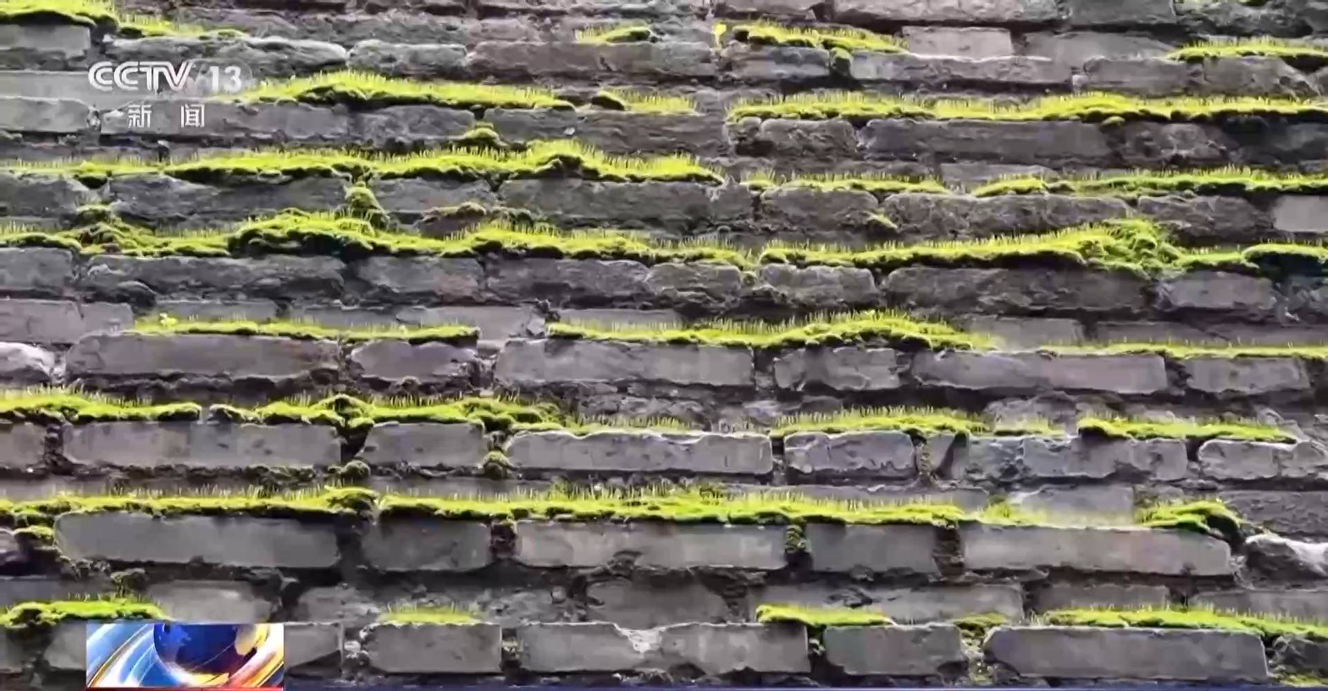 副熱帶高壓給西安城墻送來“限定皮膚” 專家解讀背后原因:宏鑫機械設(shè)備有限公司
