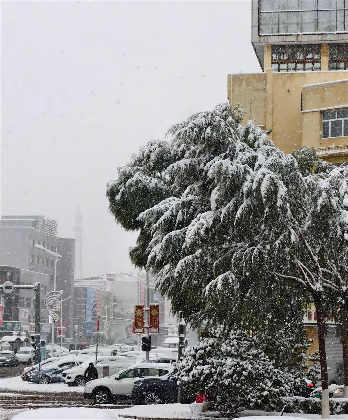 北方多地迎來(lái)第一場(chǎng)雪<strong></p>
<p>宏鑫機(jī)械設(shè)備有限公司
</strong>，黑龍江局地已出現(xiàn)暴雪，積雪深5厘米，氣象專家稱今年初雪略提前:宏鑫機(jī)械設(shè)備有限公司

