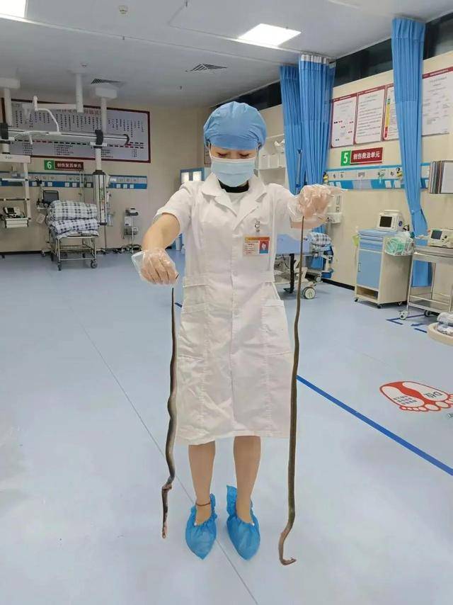 廣東62歲阿叔網(wǎng)魚網(wǎng)到2條眼鏡蛇<strong></p>
<p>宏鑫機(jī)械設(shè)備有限公司
</strong>，被咬傷后當(dāng)場打死，并打包提進(jìn)醫(yī)院:宏鑫機(jī)械設(shè)備有限公司
