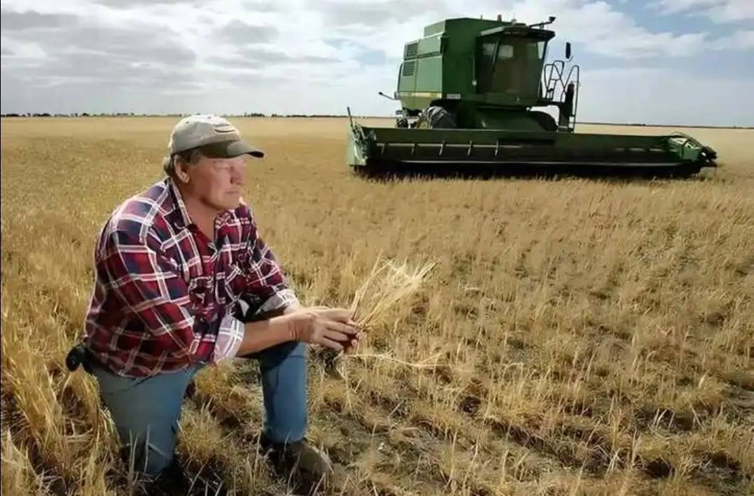 稀土卡脖子<strong></p>
<p>宏鑫機(jī)械設(shè)備有限公司
</strong>，美方軍工企業(yè)停擺！美財長喊話：開出取消關(guān)稅的條件，美農(nóng)戶輸慘了:宏鑫機(jī)械設(shè)備有限公司
