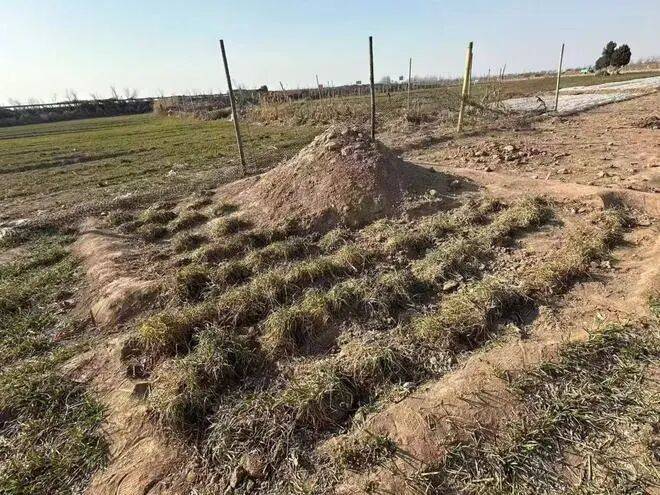 最新！三姐妹為父上墳被炸死案，大伯王某東已被執(zhí)行死刑:宏鑫機(jī)械設(shè)備有限公司
