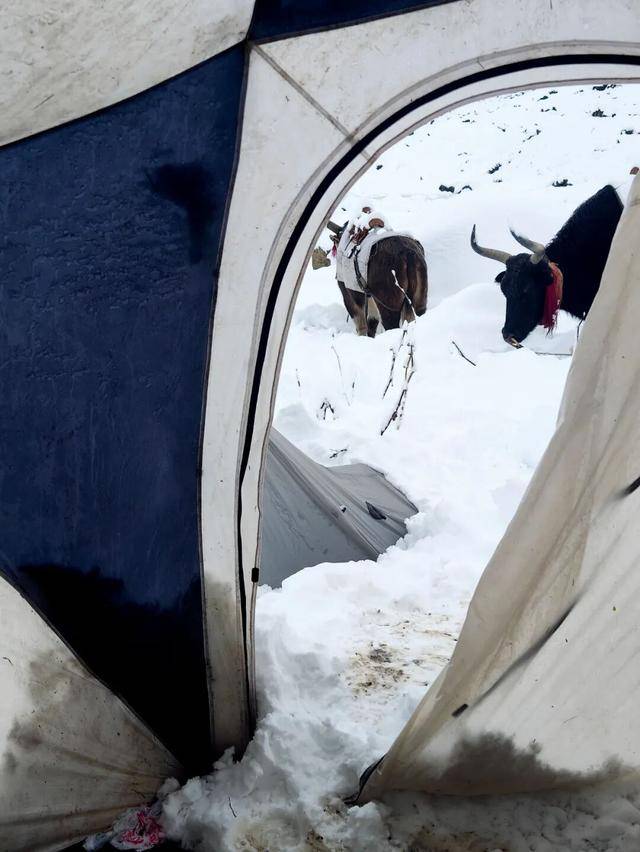 一年死亡近百人<strong></p>
<p>宏鑫機(jī)械設(shè)備有限公司
</strong>，他們?yōu)槭裁催€要去？:宏鑫機(jī)械設(shè)備有限公司
