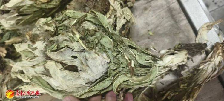 烏魯木齊貨車司機接了一單“玫瑰花”生意，背后竟?fàn)砍?00萬大案:宏鑫機械設(shè)備有限公司
