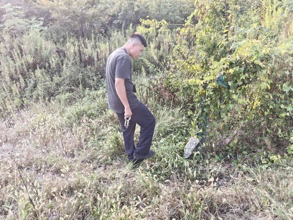 女子草叢藏11萬(wàn)現(xiàn)金！民警卻追回66.43萬(wàn)？:宏鑫機(jī)械設(shè)備有限公司
