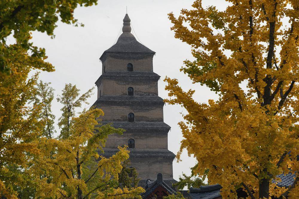 曲江文旅15億流動(dòng)負(fù)債壓頂，年內(nèi)五次進(jìn)行股份拍賣(mài)，上半年?duì)I收下滑30%:宏鑫機(jī)械設(shè)備有限公司
