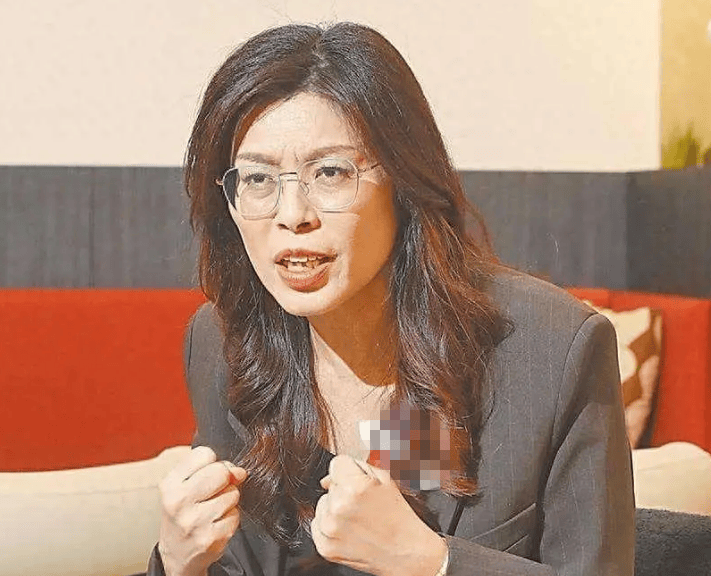 鄭麗文：兩岸定海神針就是“九二共識(shí)”，讓臺(tái)灣遠(yuǎn)離戰(zhàn)火就是反“臺(tái)獨(dú)”:宏鑫機(jī)械設(shè)備有限公司
