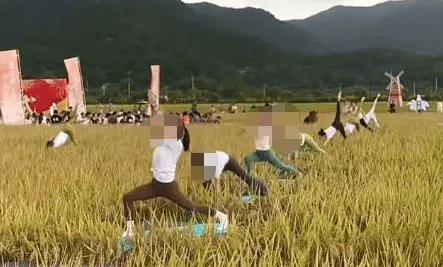 媒體：稻田開鐮儀式，表演哪門子瑜伽？:宏鑫機械設備有限公司
