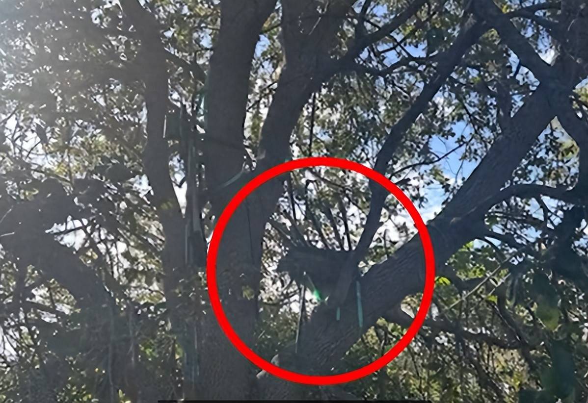 特朗普險遭暗殺！特勤局的一個新發(fā)現(xiàn)，讓特朗普深深后怕，登機(jī)速度比平時快:宏鑫機(jī)械設(shè)備有限公司
