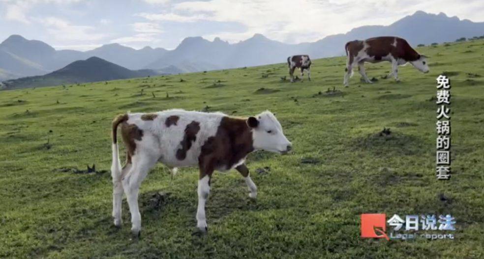 600多名老人被騙4200萬！詐騙公司以免費(fèi)吃火鍋為誘餌向老人推薦投資項目，稱年化收益率達(dá)50%！王某被判七年六個月:宏鑫機(jī)械設(shè)備有限公司

