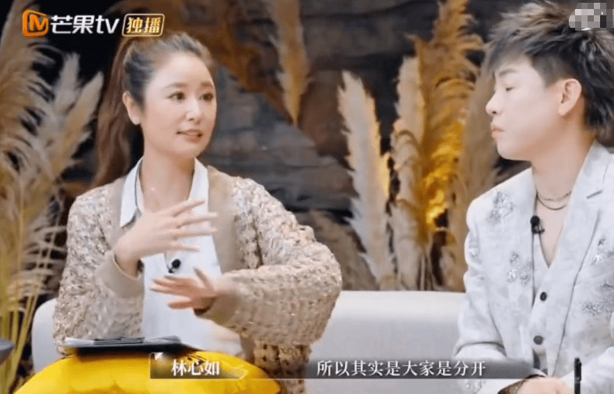 林心如談婚后相處模式，稱(chēng)孕期沒(méi)有和霍建華一直在一起:宏鑫機(jī)械設(shè)備有限公司
