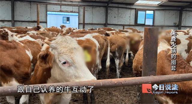 600多名大爺大媽吃了免費(fèi)火鍋后<strong></p>
<p>宏鑫機(jī)械設(shè)備有限公司
</strong>，被騙約4200萬(wàn)元:宏鑫機(jī)械設(shè)備有限公司
