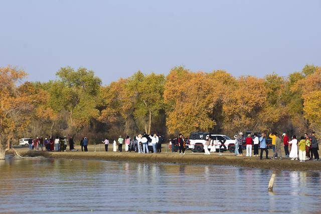 新疆胡楊引客來:宏鑫機械設(shè)備有限公司
