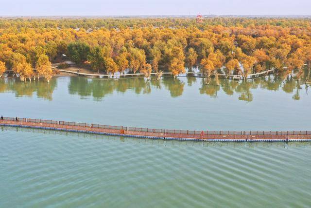 新疆胡楊引客來:宏鑫機械設(shè)備有限公司
